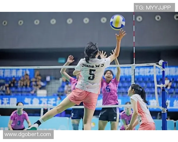 成都排球队技术对比深度分析与发展潜力探讨